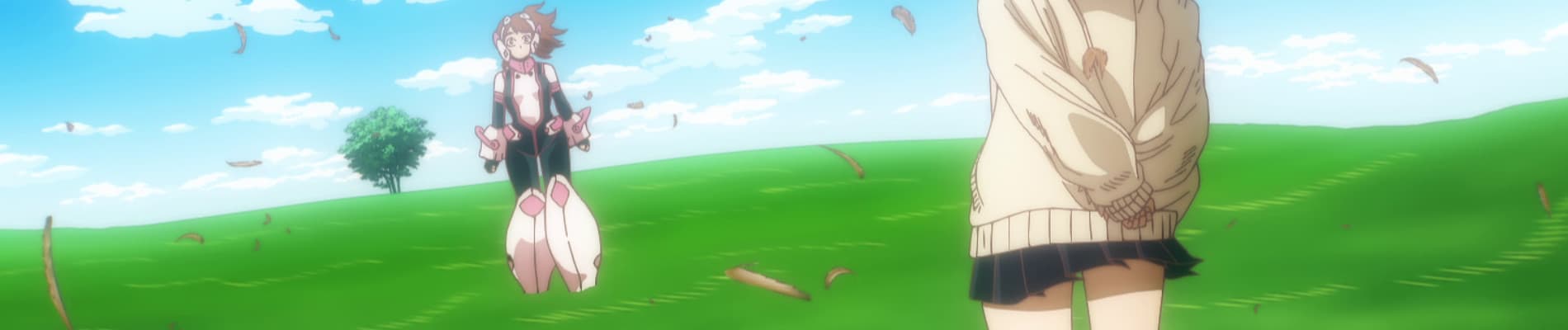banner