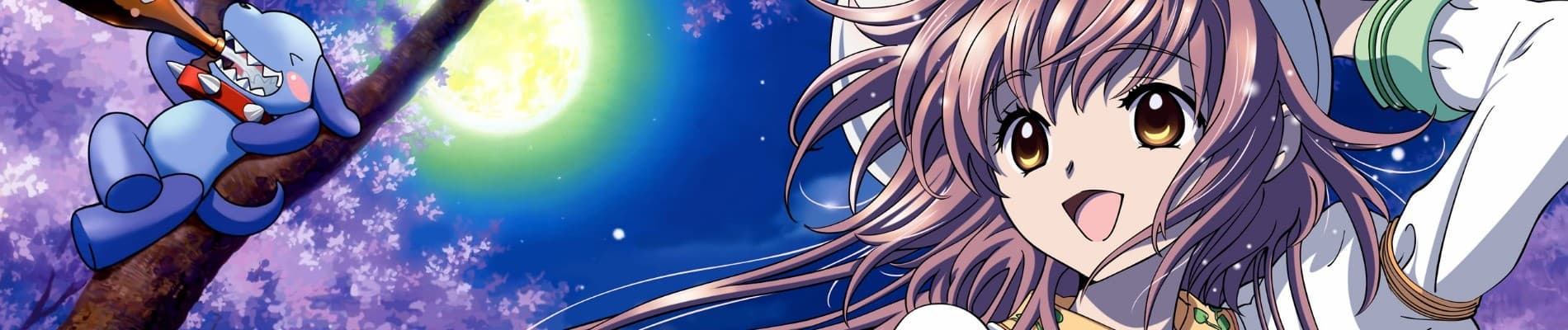 banner